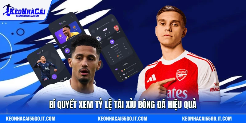 Bí quyết xem tỷ lệ tài xỉu bóng đá hiệu quả