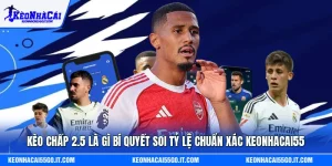 Kèo Chấp 2.5 Là Gì Bí Quyết Soi Tỷ Lệ Chuẩn Xác Keonhacai55
