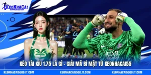 Kèo Tài Xỉu 1.75 Là Gì - Giải Mã Bí Mật Từ Keonhacai55