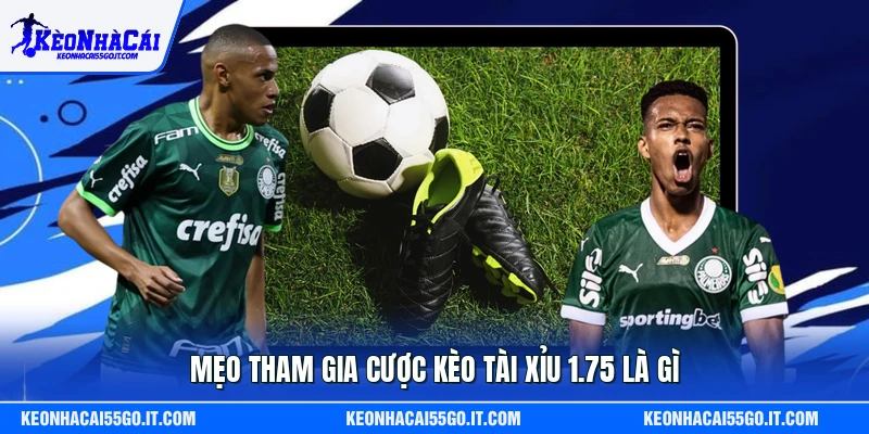 Mẹo tham gia cược kèo tài xỉu 1.75 là gì 