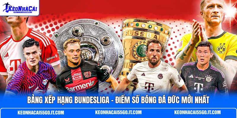 Bảng Xếp Hạng Bundesliga - Điểm Số Bóng Đá Đức Mới Nhất