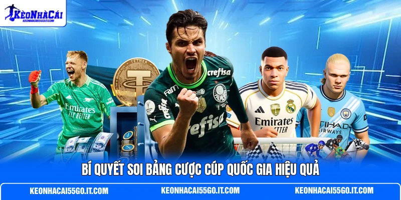 Bí quyết soi bảng cược cúp quốc gia hiệu quả